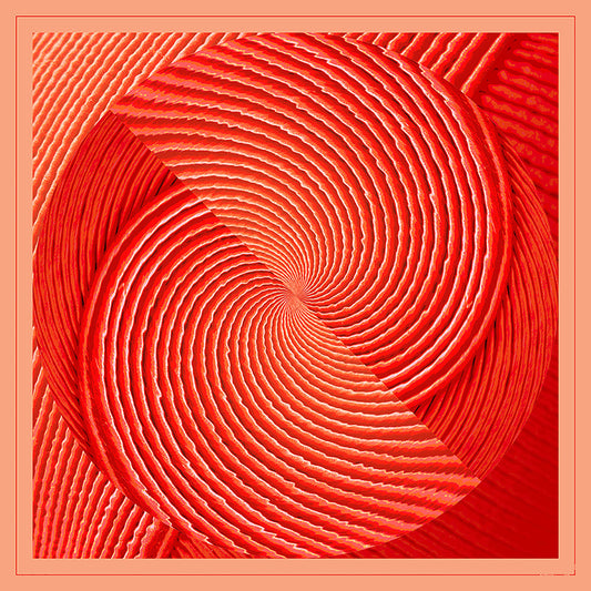 Delinor Carre Aurora Delinor soie 35in 90cm luxury silk scarf red coral vue complete