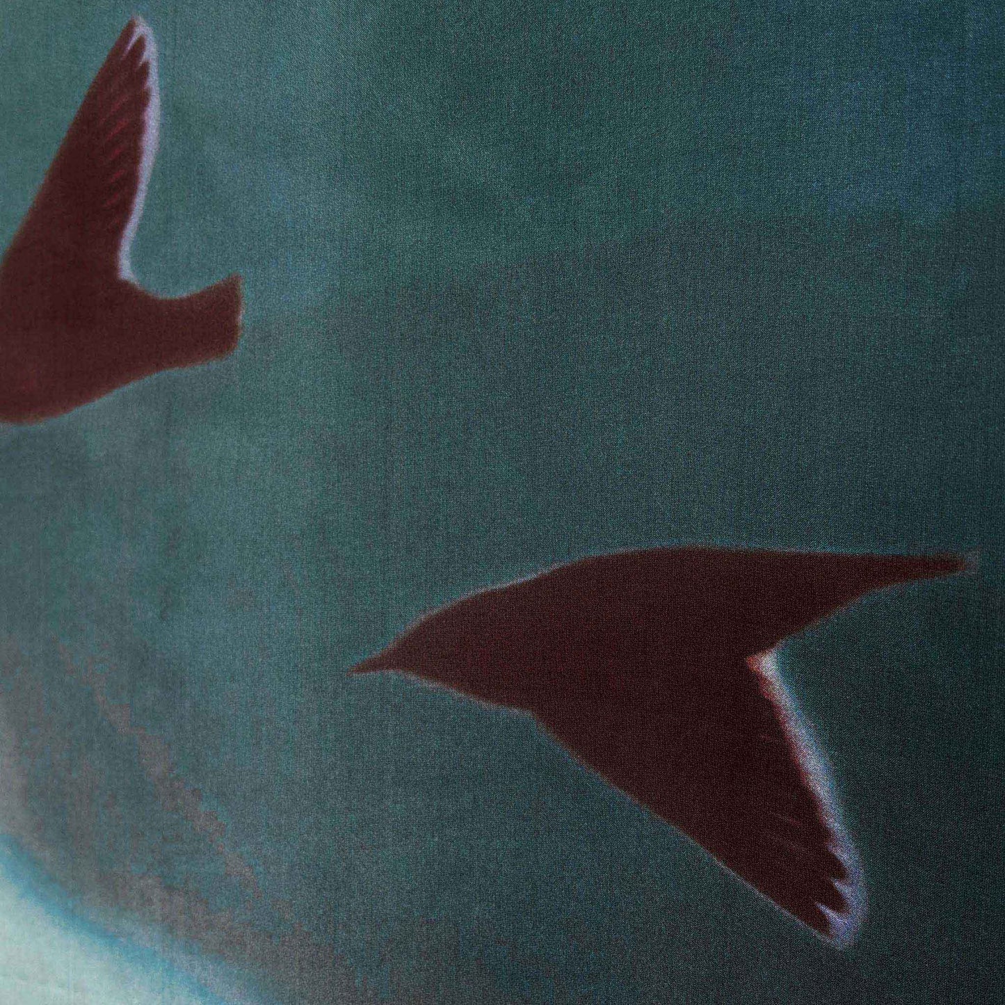 Delinor foulard soie Aera Iridis 50in 127cm luxury silk scarf turquoise wildlife black bird flying Designed Montreal