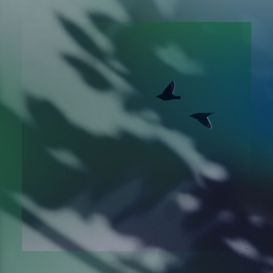 Delinor foulard soie Aera Iridis 50in 127cm luxury silk scarf turquoise black bird complete view Montreal