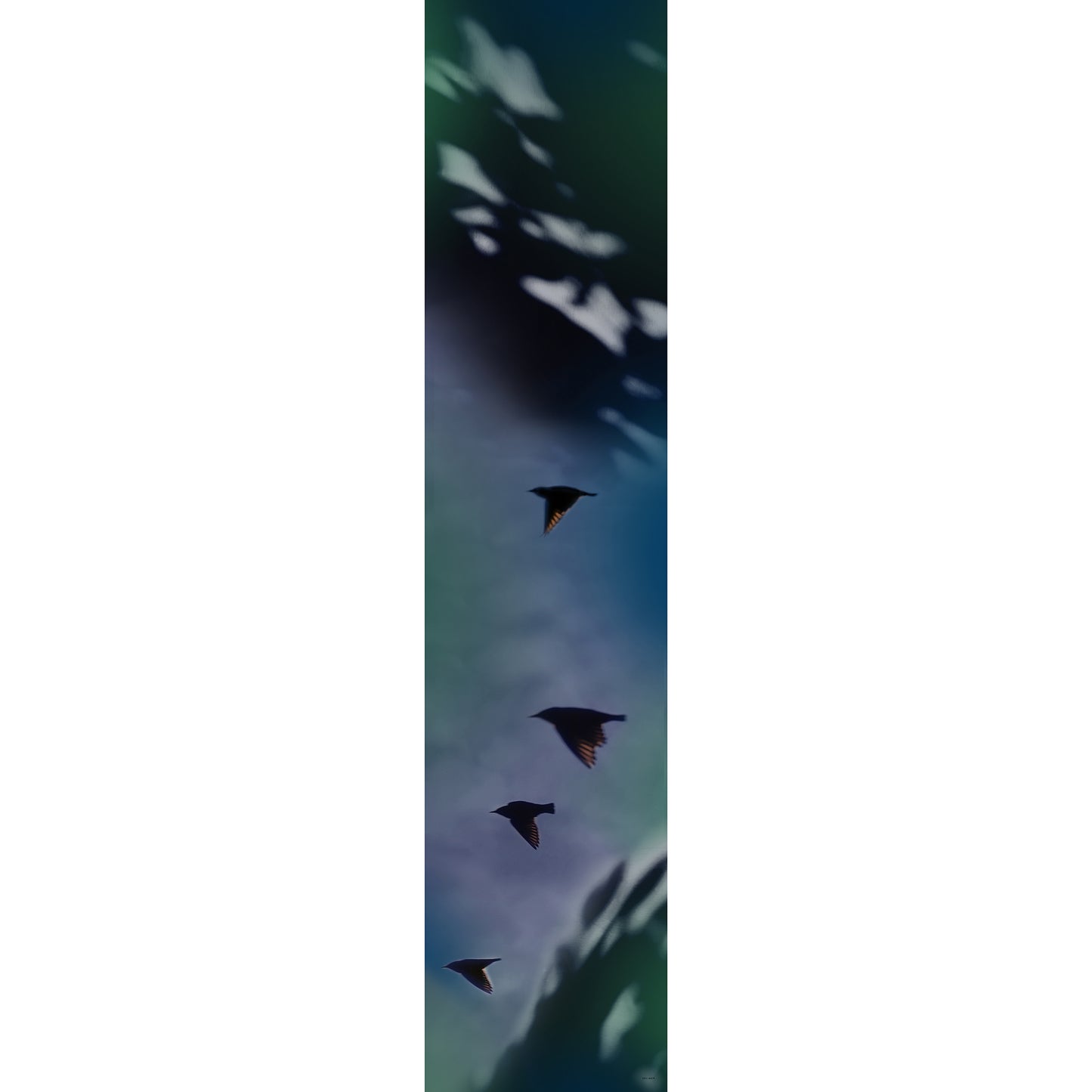 Delinor foulard soie Aera Noctis 16x72in 40x182cm long rectangular luxury silk scarf complete view Design Montreal