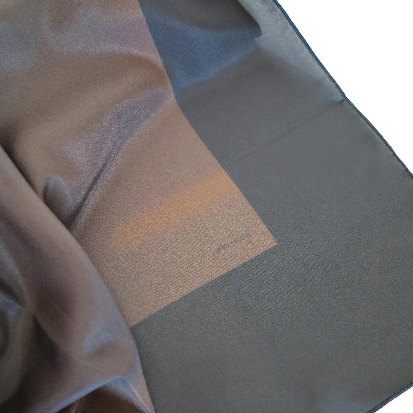 Delinor foulard soie Aera Terranova 50in 127cm luxury silk scarf logo brown brun mousse chocolate
