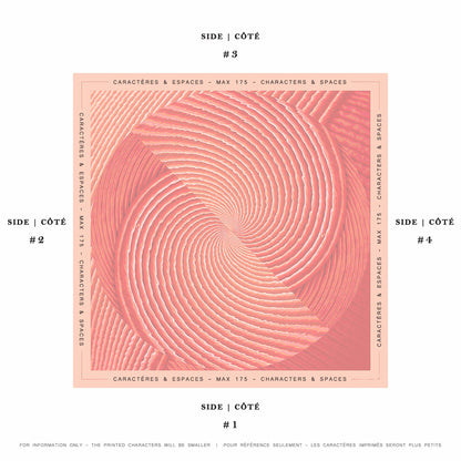 Delinor Carre Aurora mots personnalises exemple phrases 35in 90cm silk custom notes example