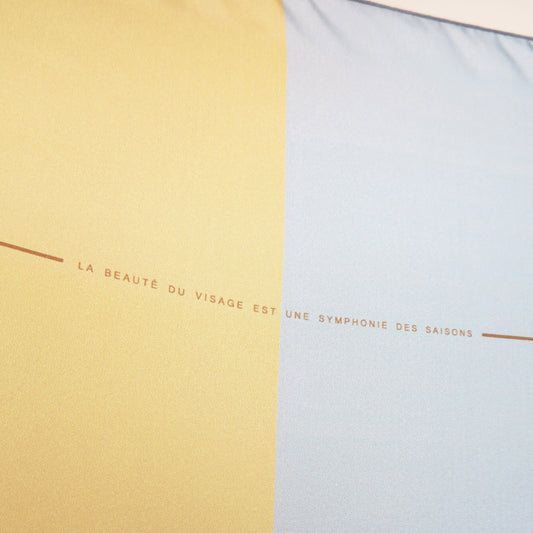 Delinor foulard soie Couleurs du bonheurV1 50in 127cm luxury orange green blue silk scarf slogan