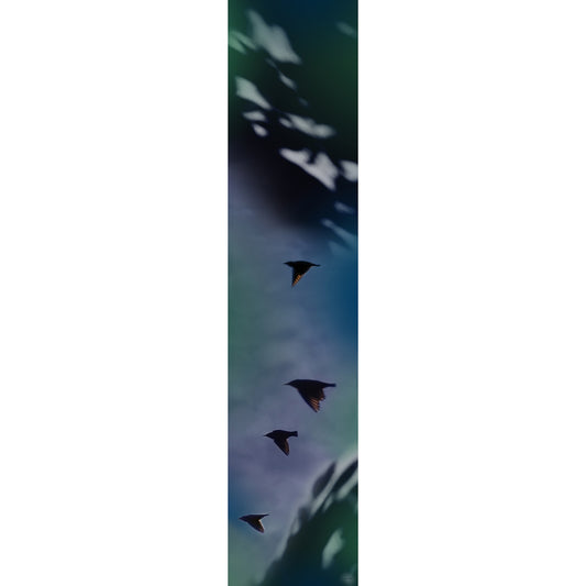Delinor foulard soie Aera Noctis 16x72in 40x182cm long rectangular luxury silk scarf complete view Design Montreal
