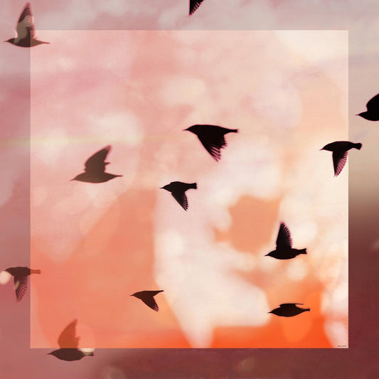 Delinor foulard soie Aera Rosella 35in 90cm luxury silk scarf vue complete view pink black bird Designed Montreal
