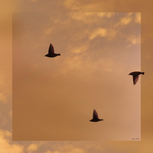 Delinor foulard soie Aera Sienna Petit 16in 40cm luxury silk scarf vue complete sky fall bird ocre Designed Montreal
