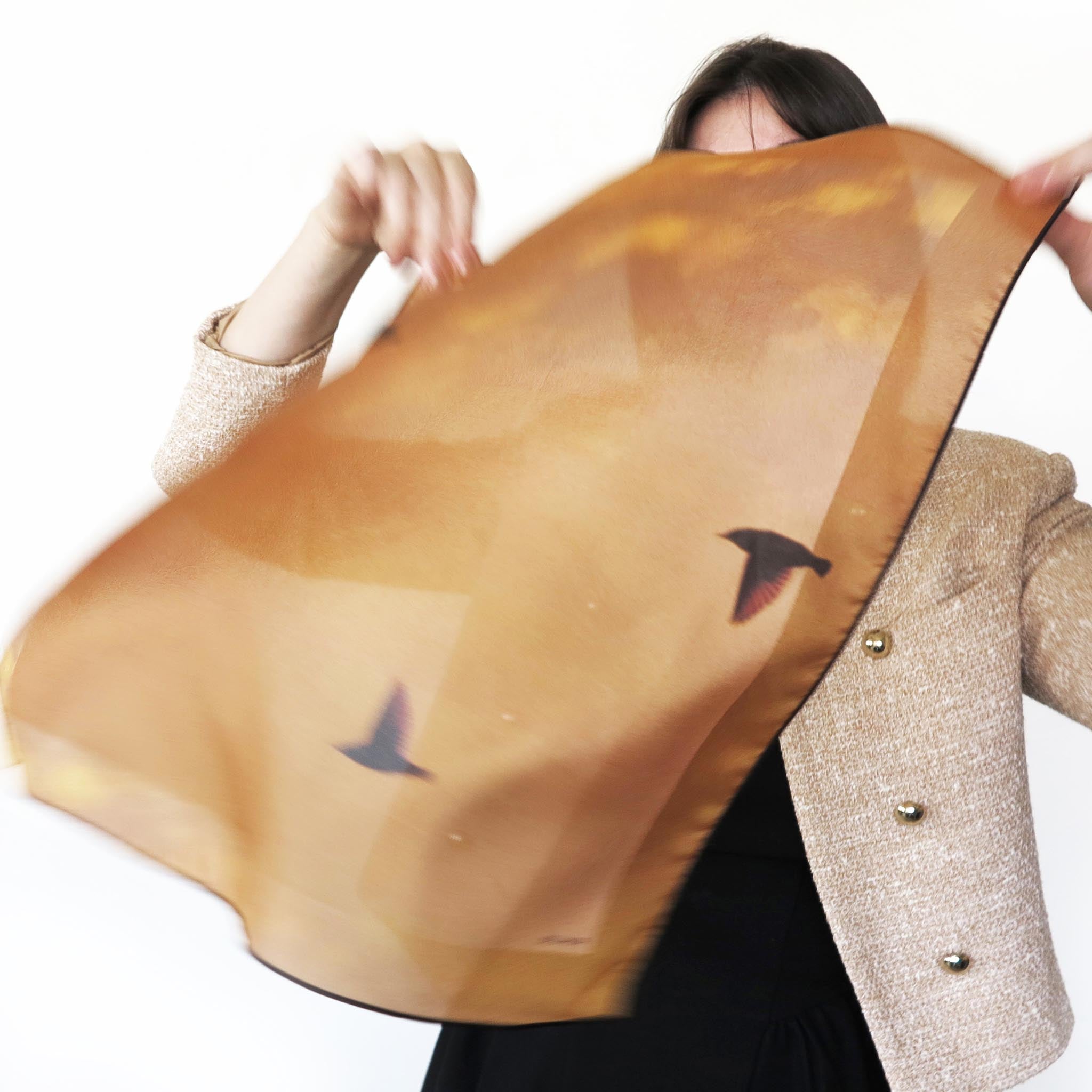 Delinor foulard soie Aera Sienna Petit 16in 40cm luxury silk scarf carre habotai bird wildlife caramel Montreal