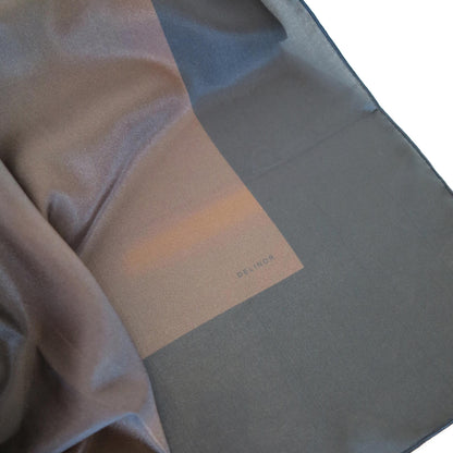 Delinor foulard soie Aera Terranova 50in 127cm luxury silk scarf logo brown brun mousse chocolate