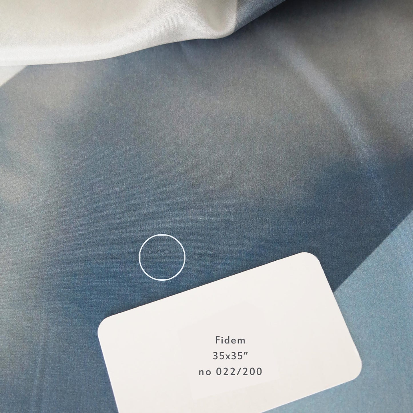 ImprF* Fidem & Fidem petit